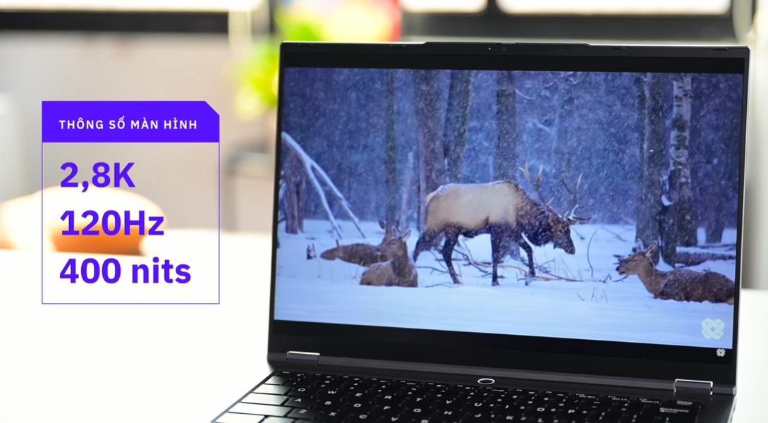 Đánh giá Laptop Lenovo Lecoo Pro 14 Ryzen 7: Laptop hiệu năng cực mạnh cho dân sinh viên, văn phòng 2025