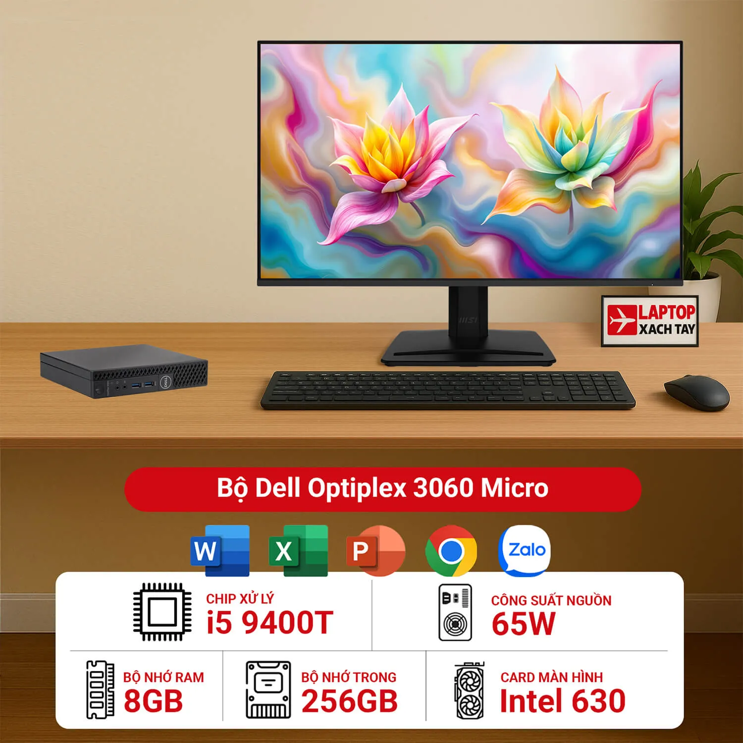 Máy tính bộ Dell Optiplex 3060 Micro 8GB 256GB - Avatar